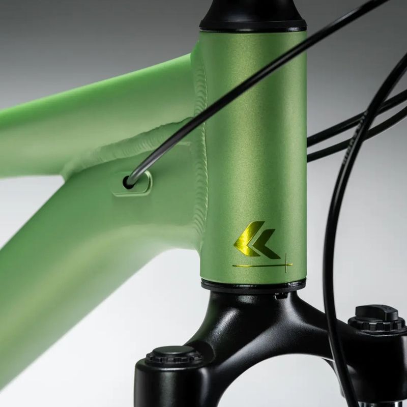 Dámsky horský bicykel KROSS Lea X200 W 29 green/green/matte 14