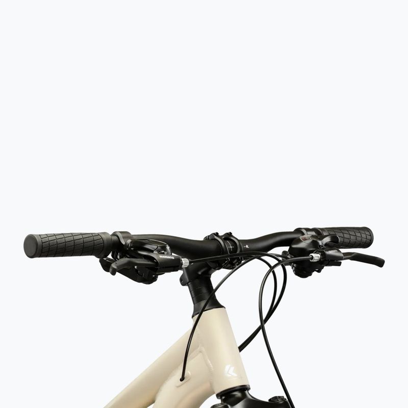 Dámsky horský bicykel KROSS Lea X200 W 29 silver/silver/matte 4