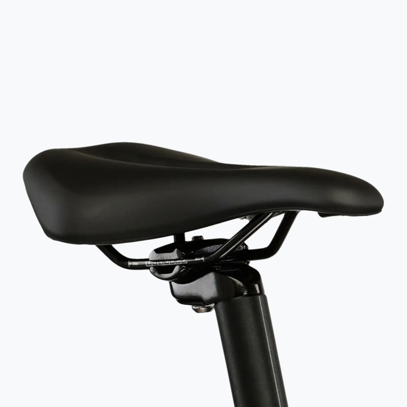 Dámsky horský bicykel KROSS Lea X200 W 29 silver/silver/matte 9