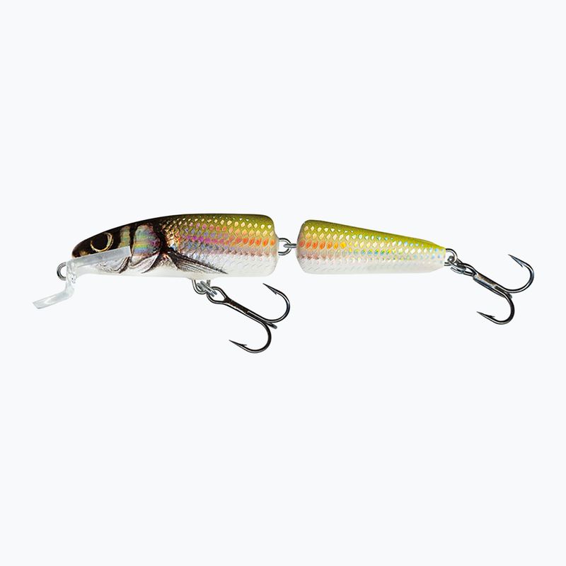 SaImo Fanatic F7F holo bleak wobbler QIF001