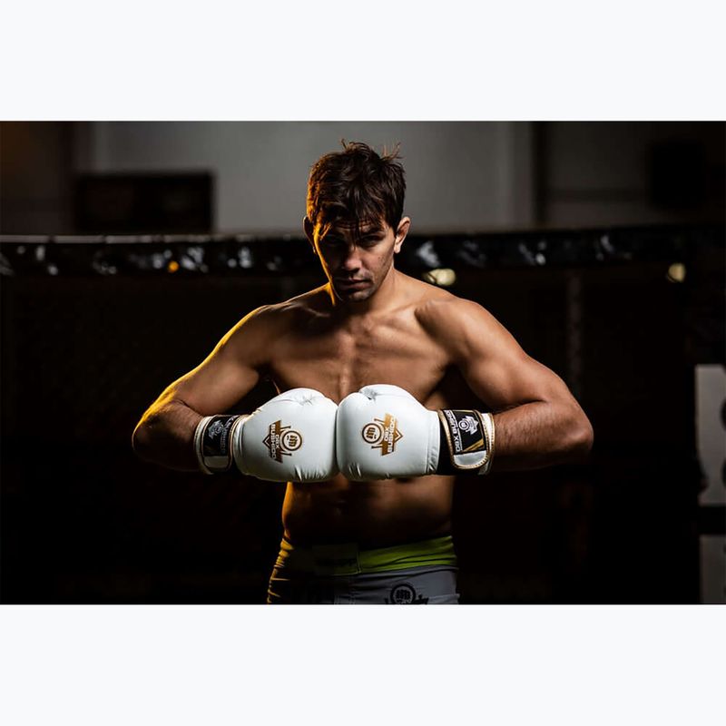 Boxerské rukavice DBX BUSHIDO DBD-B-2 biele 9