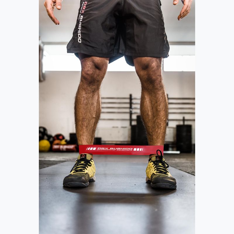 Cvičenie gumy DBX BUSHIDO Mobility Power Band Mini červená Pbm-10 9