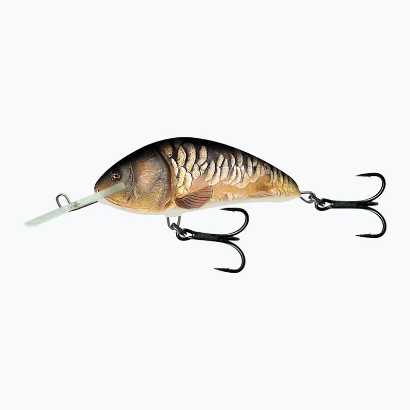 Salmo Hornet FL supernatural vobler pre kapry QHT859