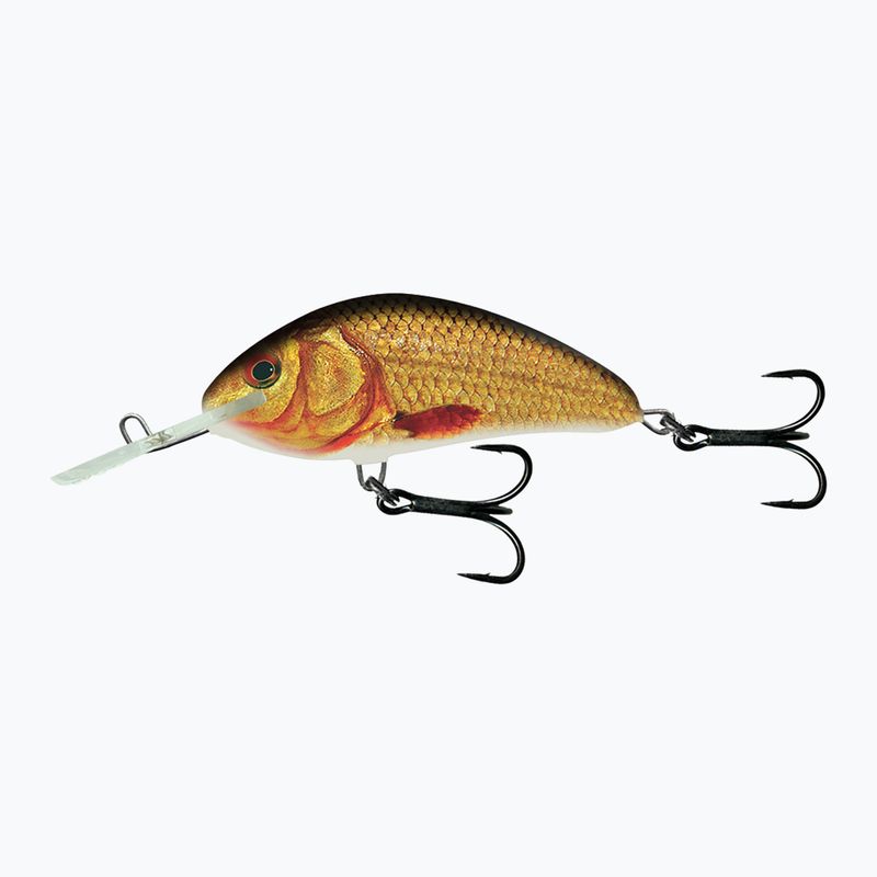 Salmo Hornet FL zlatý karas QHT860