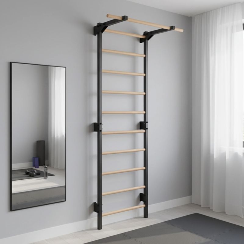 Gymnastické rebriny RINAGYM Steel Pure graphit 14
