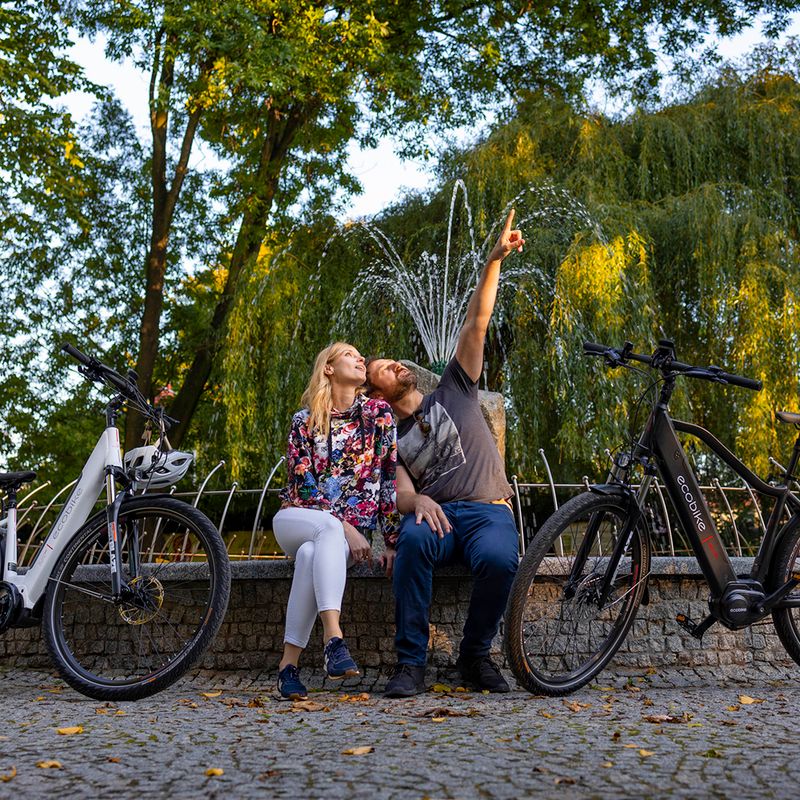Ecobike MX300 LG elektrický bicykel čierny 1010307 18
