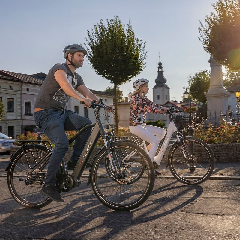 Ecobike MX300 LG elektrický bicykel čierny 1010307 19