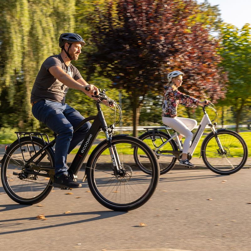 Ecobike MX300 LG elektrický bicykel čierny 1010307 20