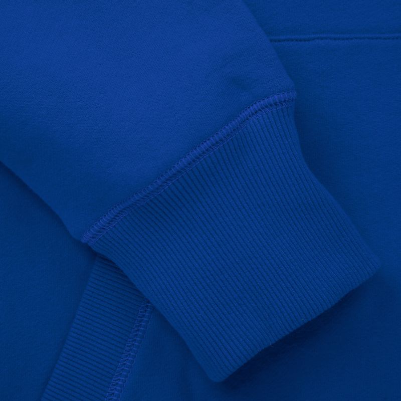 Pánska mikina Pitbull West Coast Hooded Small Logo royal blue 4