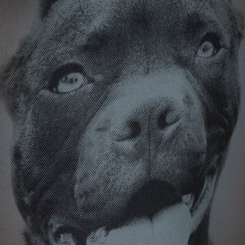 Pánsky batoh Pitbull West Coast Pitbull Ir black/grey 12