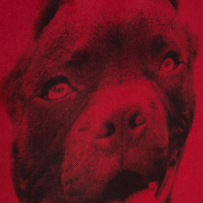 Pánsky batoh Pitbull West Coast Pitbull Ir black/red 13