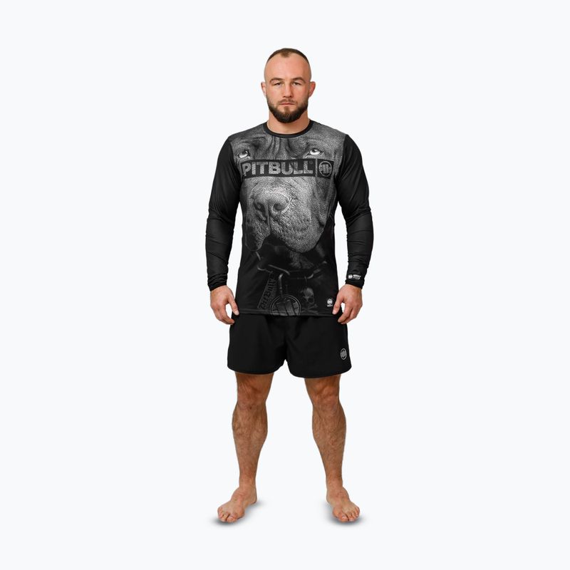 Pánske tričko s dlhým rukávom Pitbull Mesh Performance Pro Plus Training Born in 1989 black 2