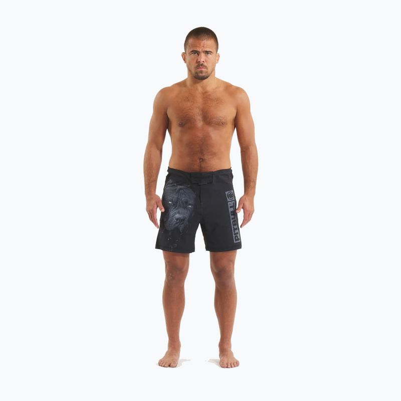 Pánske grapplingové šortky Pitbull West Coast Grappling 3 Born in 1989 black 2