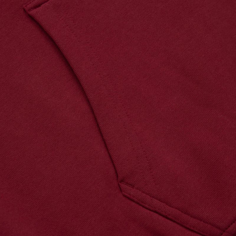Pánska mikina Pitbull West Coast Everts Hooded burgundy 6