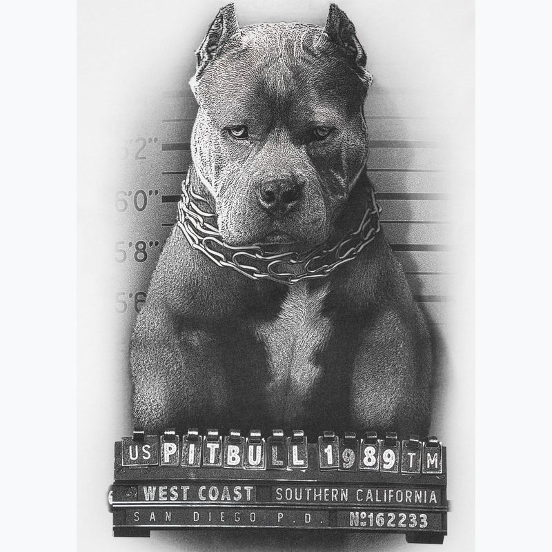 Pitbull West Coast pánske biele tričko Mugshot 2 8