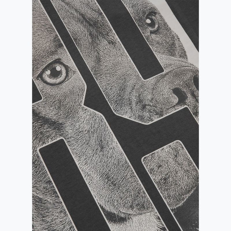 Pitbull Eighty Nine Dog pánske tričko graphite 12