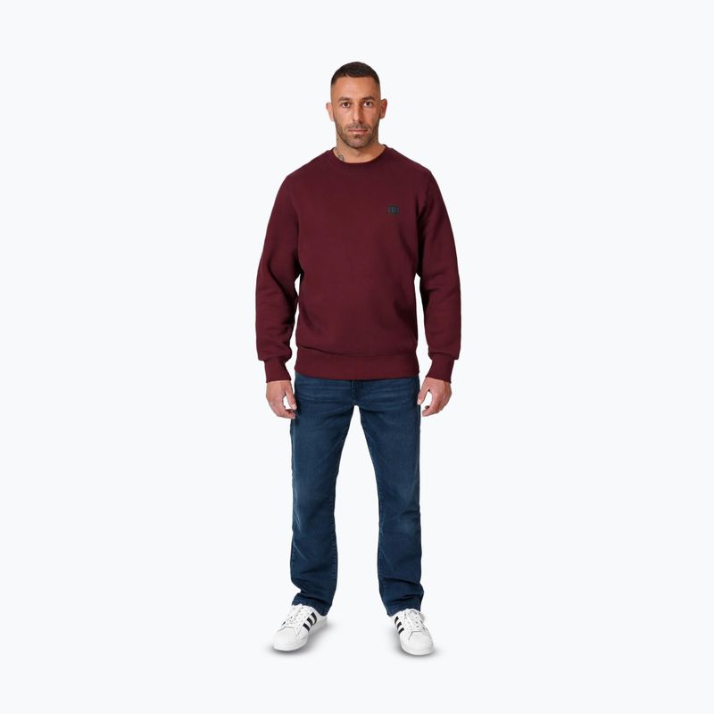 Pánska mikina Pitbull Small Logo Crewneck burgundy 2