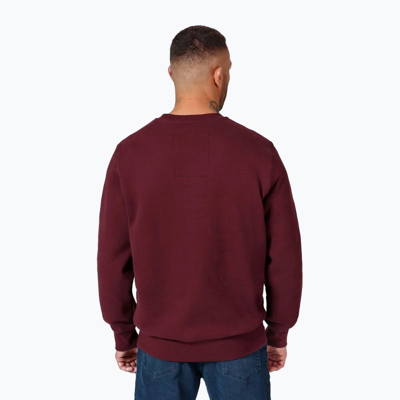 Pánska mikina Pitbull Small Logo Crewneck burgundy 3