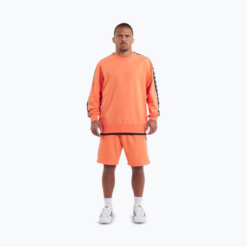 Pánska mikina Pitbull Tape Nugget Crewneck Sweatshirt bright salmon 2