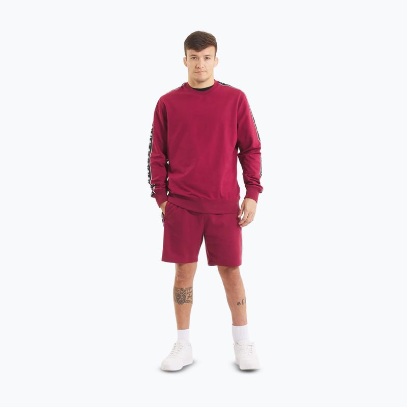 Pánska mikina Pitbull Tape Nugget Crewneck Sweatshirt burgundy 2