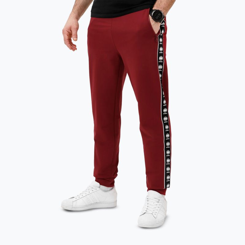 Pánske tepláky Pitbull Tape Nugget Jogging burgundy