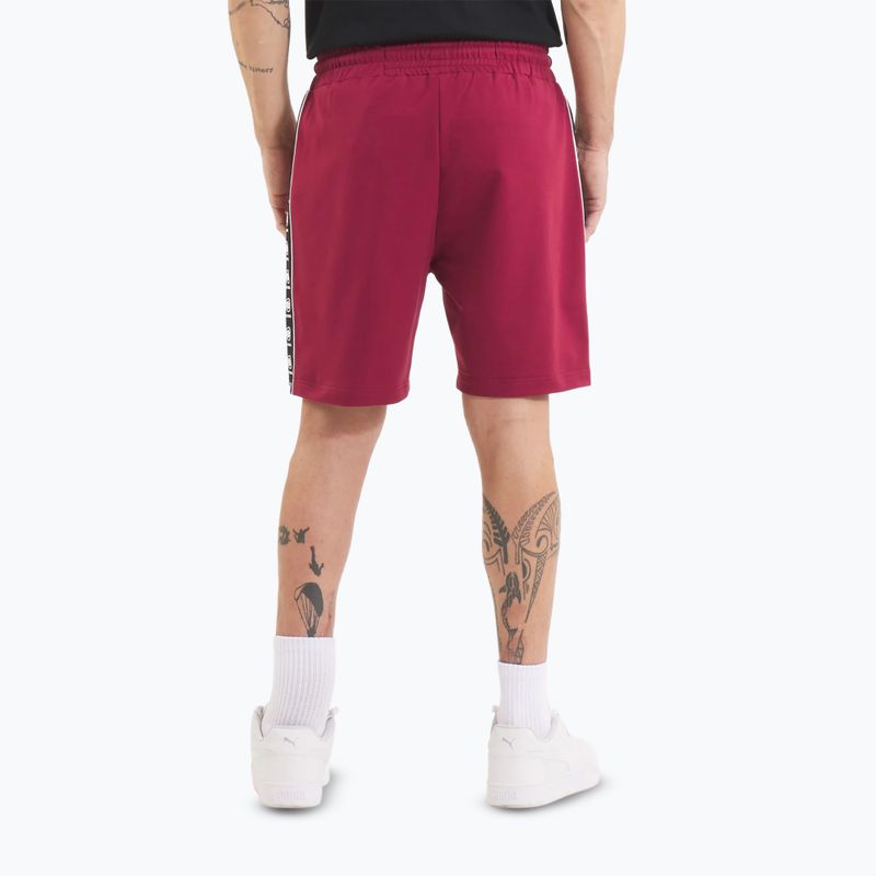 Pánske šortky Pitbull Tape Nugget burgundy 3