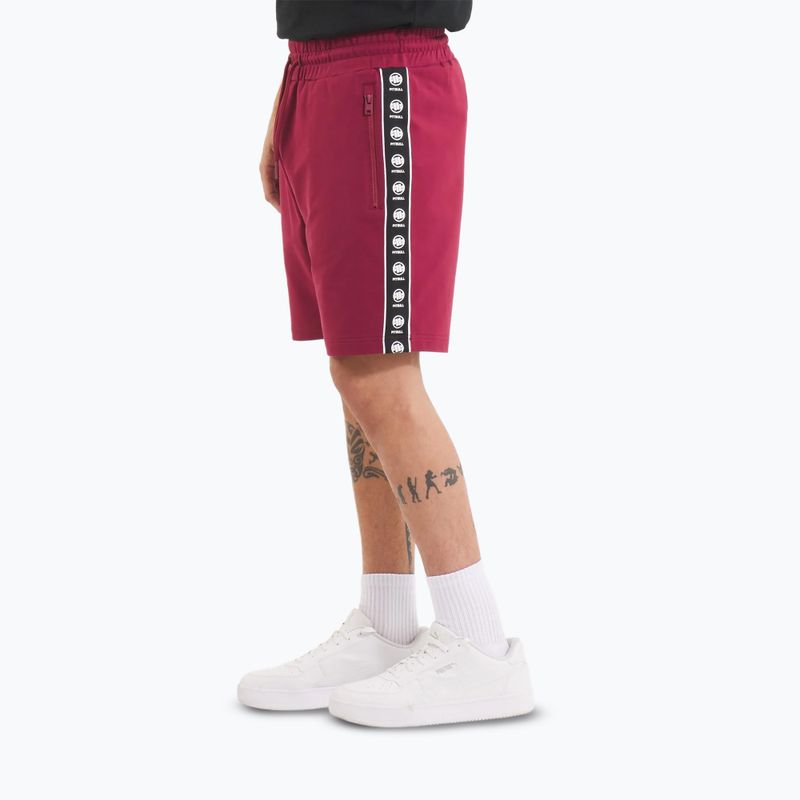 Pánske šortky Pitbull Tape Nugget burgundy 4