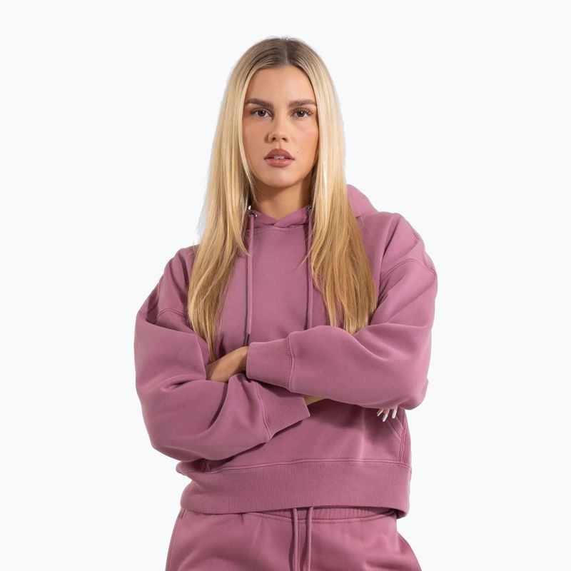 Dámska mikina Pitbull Manzanita Hooded Sweatshirt pink
