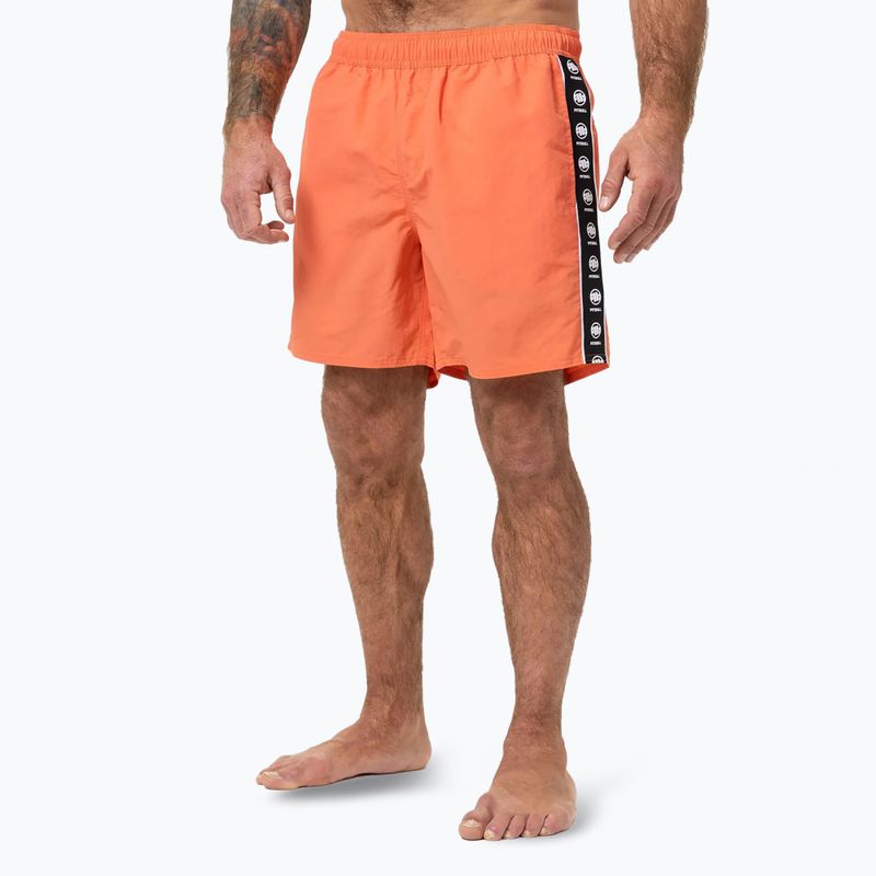 Pánske plavecké šortky Pitbull Blackmore bright salmon
