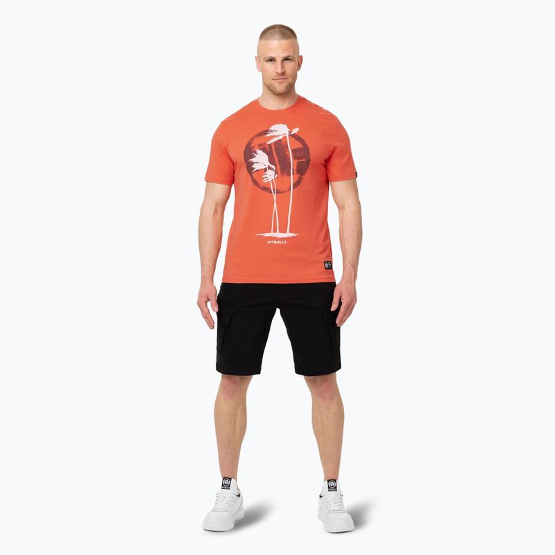 Pánske tričko Pitbull Palms bright salmon 2