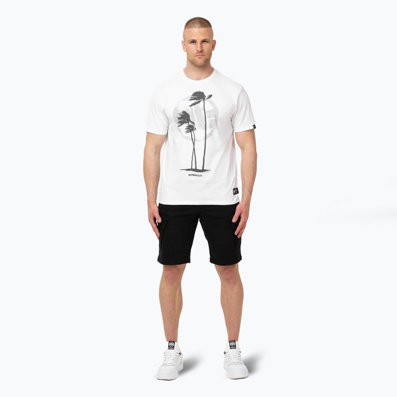 Pánske tričko Pitbull Palms white 2