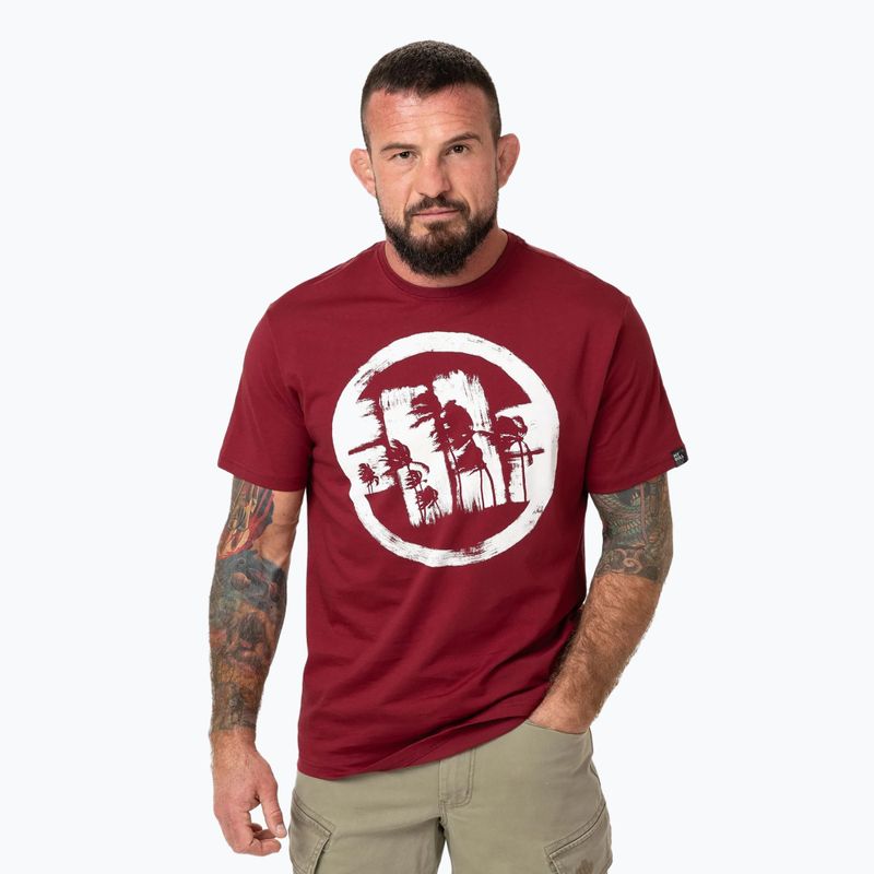 Pánske tričko Pitbull Logo Palms burgundy