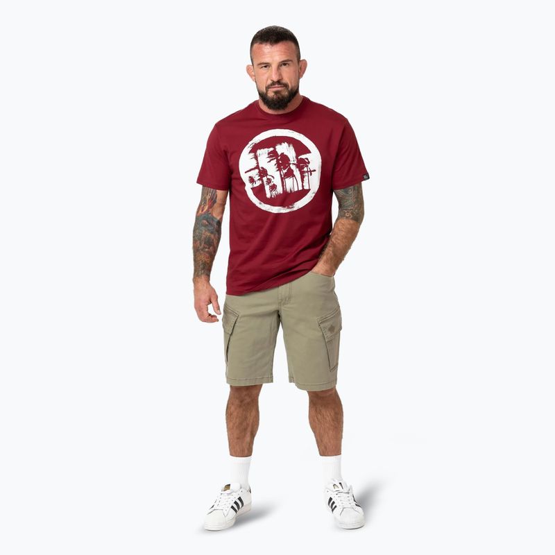 Pánske tričko Pitbull Logo Palms burgundy 2
