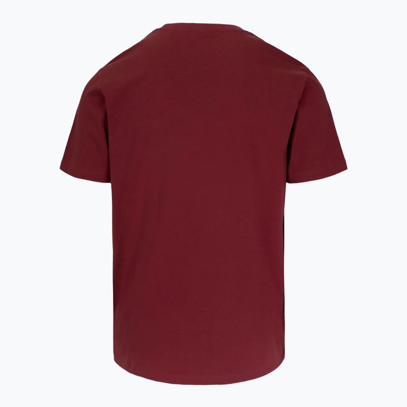 Pánske tričko Pitbull Logo Palms burgundy 5