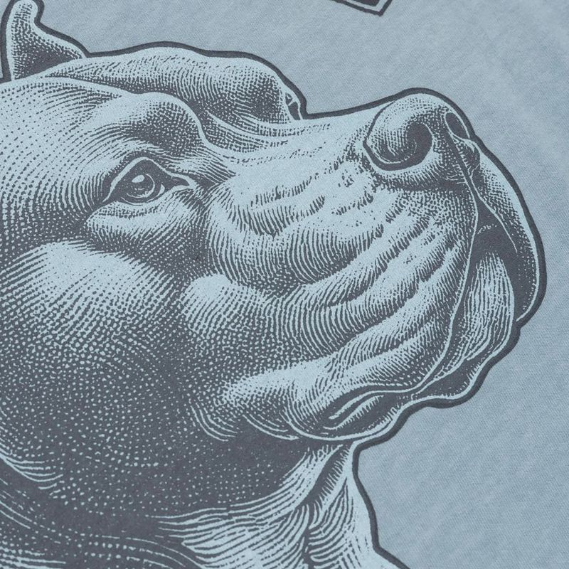 Pánske tričko Pitbull Pacyfic blue 6