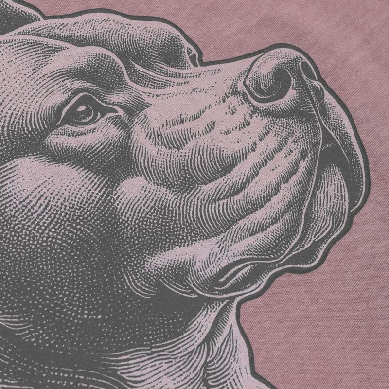 Pánske tričko Pitbull Pacyfic dusty burgundy 6