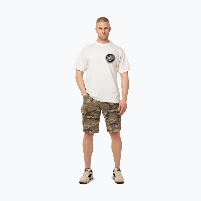 Pánske tričko Pitbull Graffiti off white 2