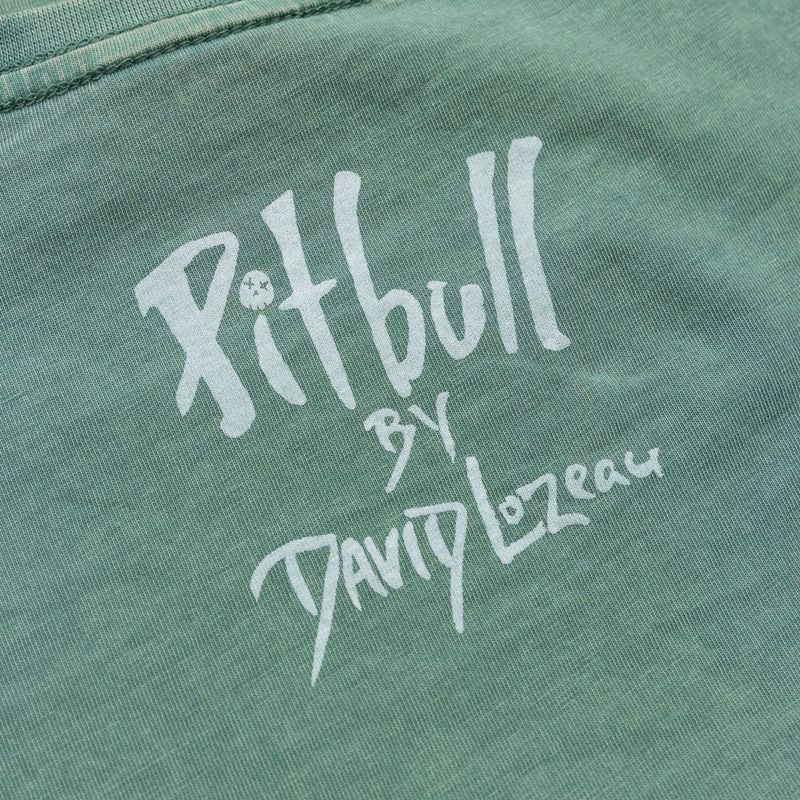 Dámske tričko Pitbull Cruisinandboozin mint 7