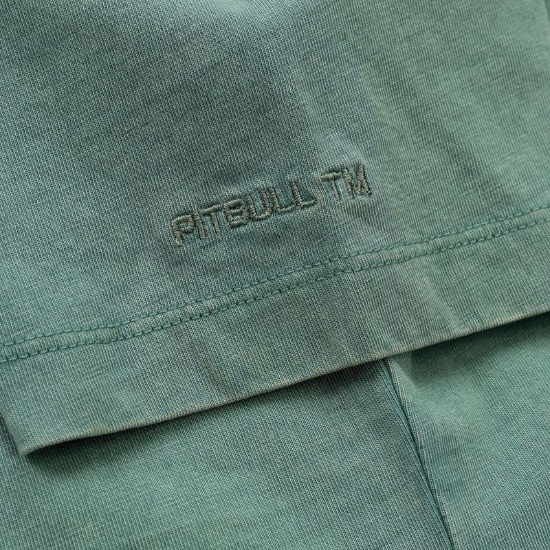 Dámske tričko Pitbull Cruisinandboozin mint 8