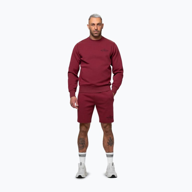 Pánska mikina Pitbull Sampson Crewneck Sweatshirt burgundy 2