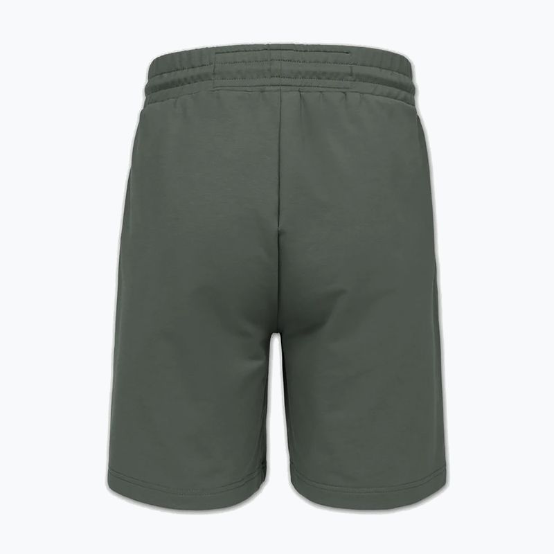 Pánske šortky Pitbull Nugget Small Logo sage green 7