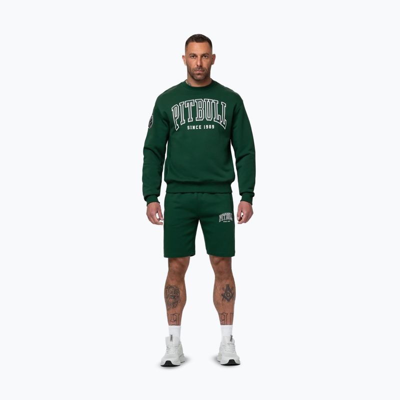 Pánska mikina Pitbull Badger Crewneck hunter/green 2