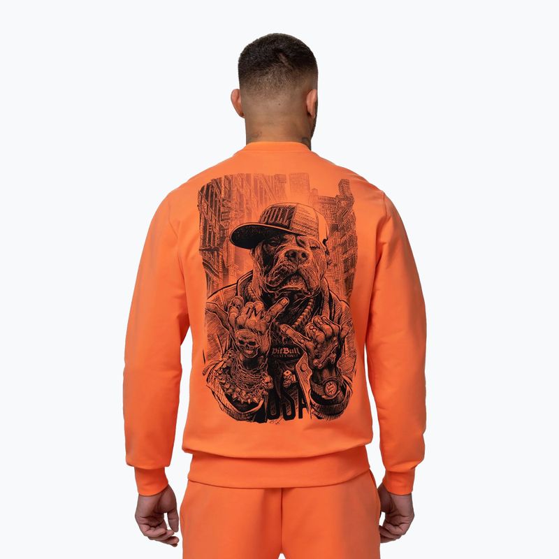 Pánska mikina Pitbull USA Crewneck Sweatshirt fluo orange 3