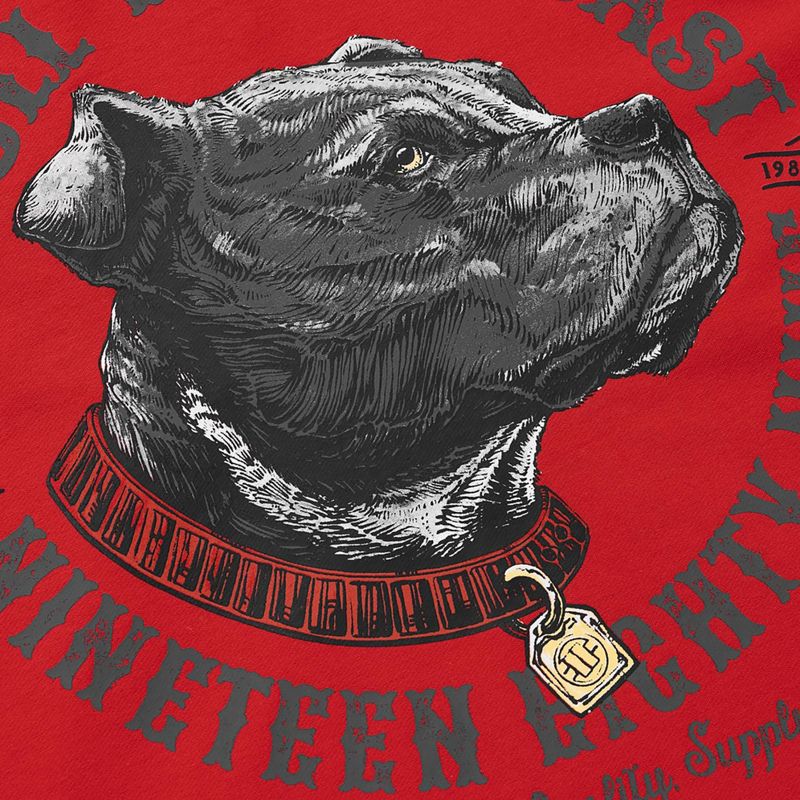 Pánska mikina Pitbull Strenght & Respect Sweatshirt Hooded red 9