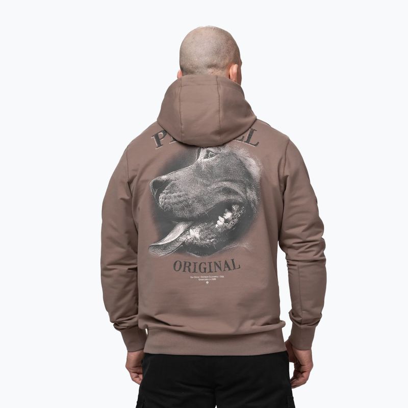 Pánska mikina Pitbull Midnight Sweatshirt Hooded brown savana 3