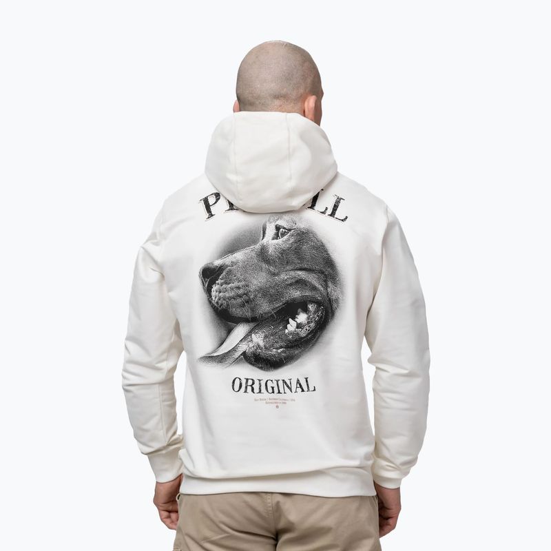Pánska mikina Pitbull Midnight Sweatshirt Hooded off white 3