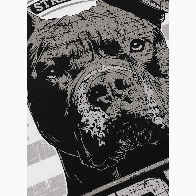 Pánske tričko Pitbull Troublemarker white 10