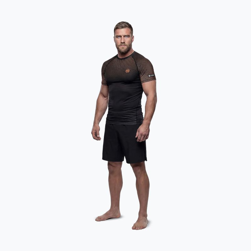 Pánsky rashguard Pitbull Belt Rashguard brown 2