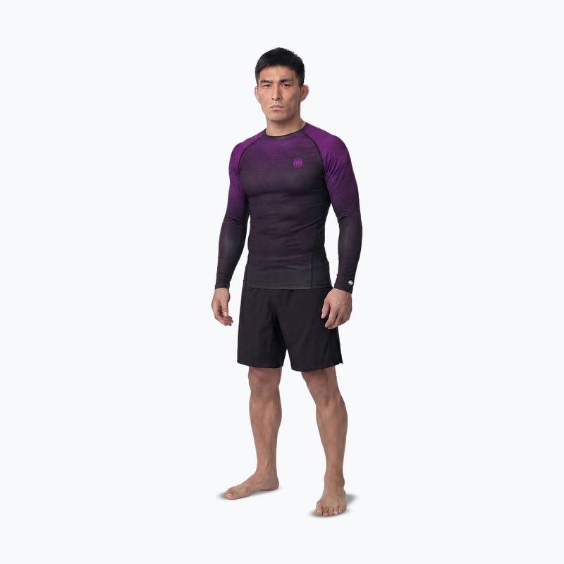 Pánsky rashguard s dlhým rukávom Pitbull Belt Rashguard purple 2
