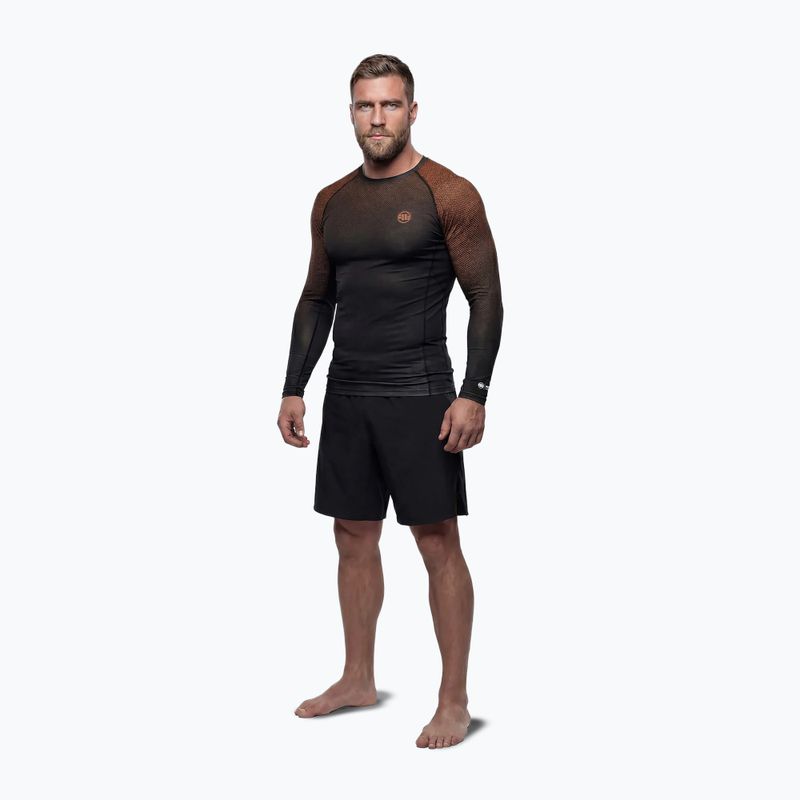 Pánsky rashguard s dlhým rukávom Pitbull Belt Rashguard brown 2